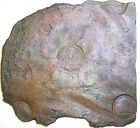 1756 Sweden 4 Daler Copper Plate Money From Nicobar Shipwreck