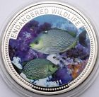 Palau 1 Dollar 2011 Streaked Spinefoot Fish Coloured - Krause Cat.37,5$